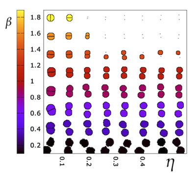 A morpheus simulation of a pair of cells showing the effect of scaled cell-cell and cell-medium energetic costs, $\eta$ and $\beta$. Produced with model file [`TwoCellCPMParameterPlane.xml`](#downloads).