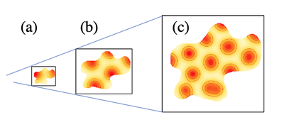 Simulations of the Schnakenberg system on different sized irregular domains with `noflux` `BoundaryCondition`s. Produced with Morpheus file [`Schnakenberg2Dshape.xml`](#downloads).