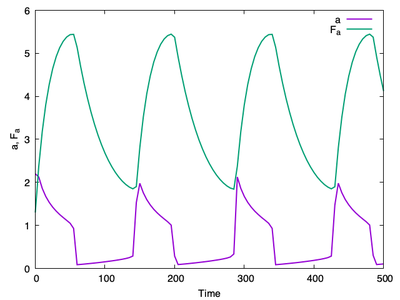 In the well-mixed single GTPase model, when actin negative feedback is included, the system can begin to oscillate. In the Morpheus model, $a$ represents active GTPase (denoted by $G$ in the [ODEs above](#description)) and $F_a$ (denoted by $F$ [above](#description)) is the filamentous actin.