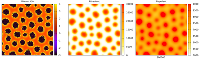 Reproduced results corresponding to [Fig. S3](https://doi.org/10.1371/journal.pcbi.1009231.s003): Simulation results of the optimized [`model_main.xml`](/media/model/m7683/model_main.xml) for the small system of 9000 worms on a $1\ \mathrm{cm} \times 1\ \mathrm{cm}$ square at time $200.000\ \mathrm{s}$