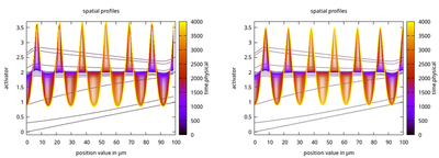 Snapshots for L.numerical=80 on left and L.numerical=800 on right with line color indicating time.