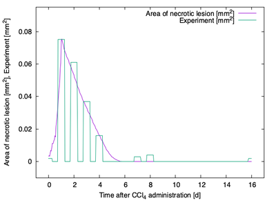 Figure 5. Morpheus Simulation. Time course of the necrotic lesion in Morpheus' CPM simulation (purple curve) compared to the experimental data from [**Höhme _et al._**](#reference) (green bars)