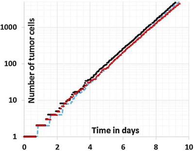 Figure 5. Simulation results by [**Höhme _et al._**](#reference) Growth kinetics of tumors in case of HSA (black) and no HSA (red) ([CC BY 4.0](https://creativecommons.org/licenses/by/4.0/): [**Höhme _et al._**](#reference), [Fig. 14](https://link.springer.com/article/10.1007/s11538-017-0375-1/figures/14))