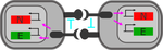 Single Genotype Circuit