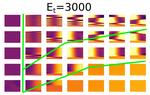 Rac-Rho-ECM Spatial Model with Slip-Bond Integrin Dynamics