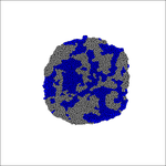 Human iPSC CDH1-KD : Wildtype Colony Patterning